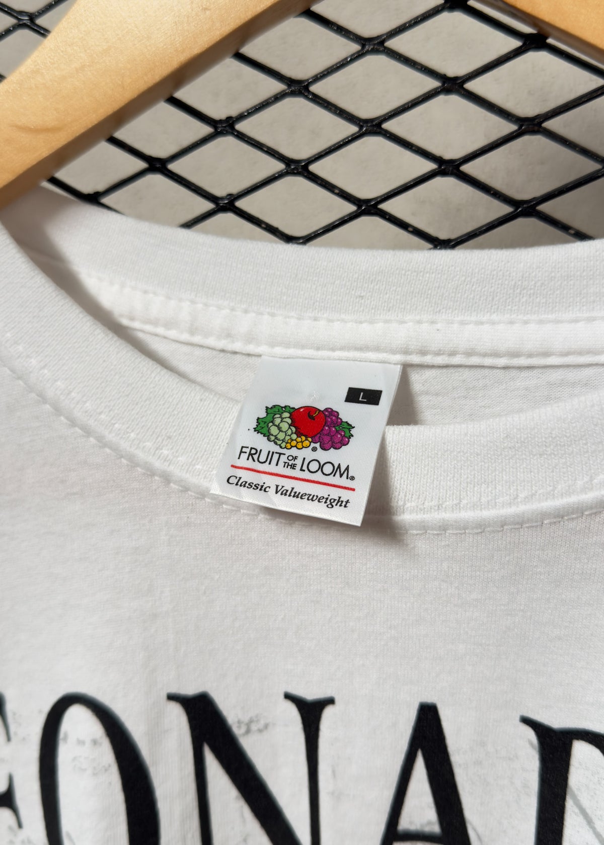 Leonardo Da Vinci Fruit Of The Loom