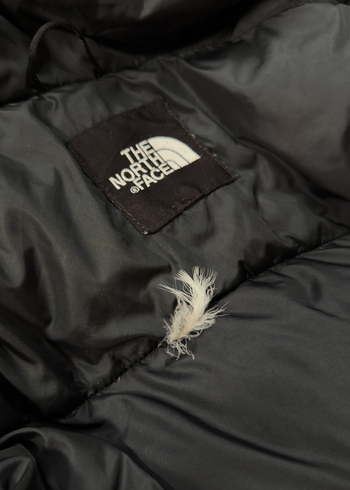 The North Face Puffer 700